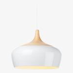 Load image into Gallery viewer, Liam Pendant Lighting
