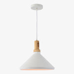 Load image into Gallery viewer, Luxmod Pendant Light
